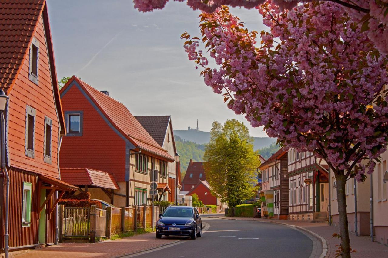 Haus Ilsegarten Ilsenburg Exterior foto